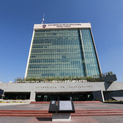 Comunicado: Sobre las denuncias de posibles casos de violencia de género al interior de la institución